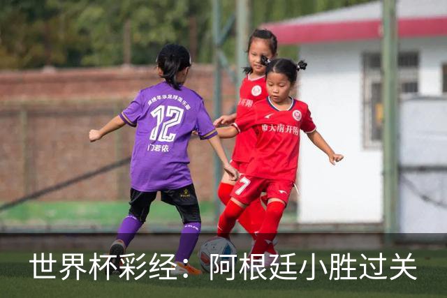 世界杯彩经：阿根廷小胜过关